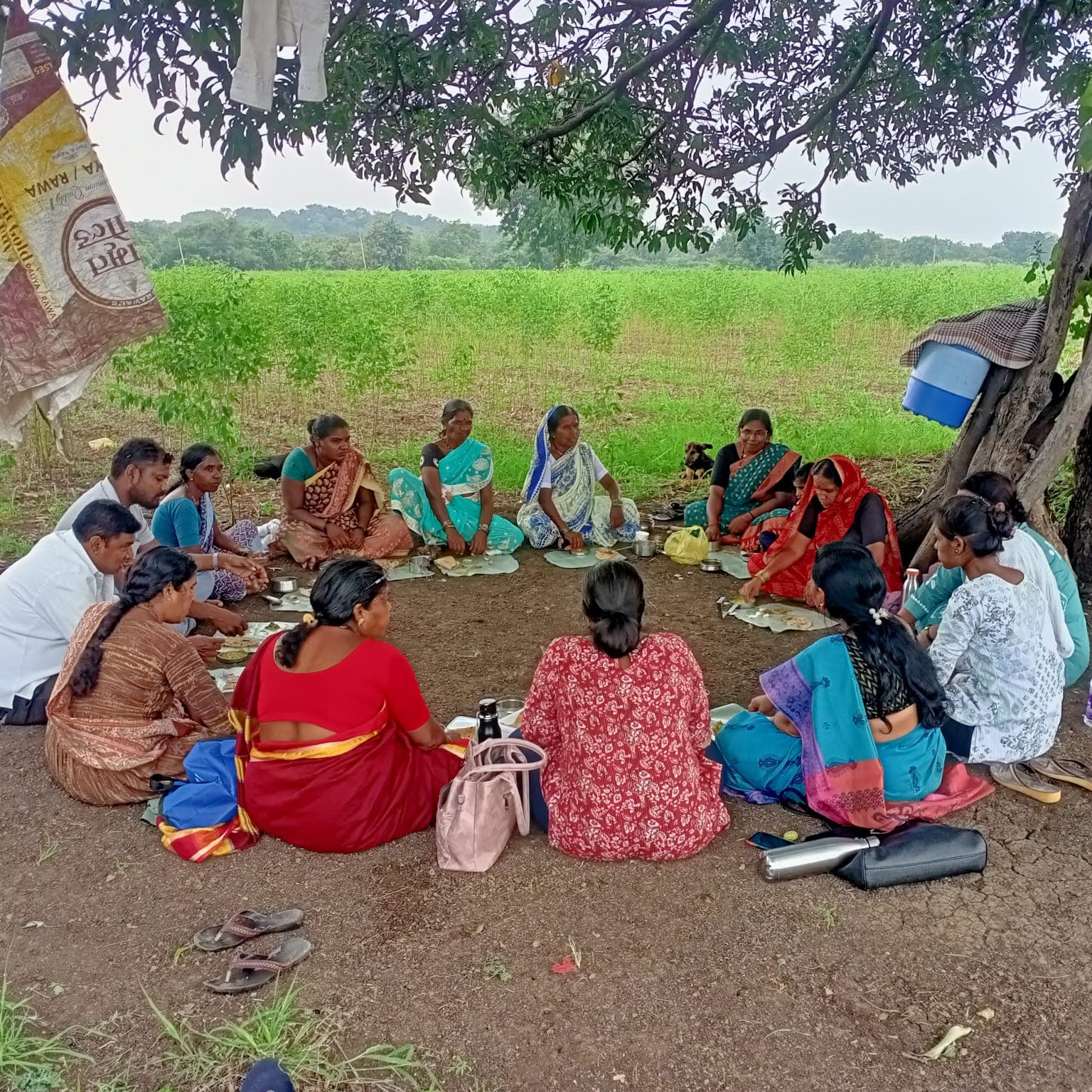 A community meeting held in the shade of a tree beside the fields