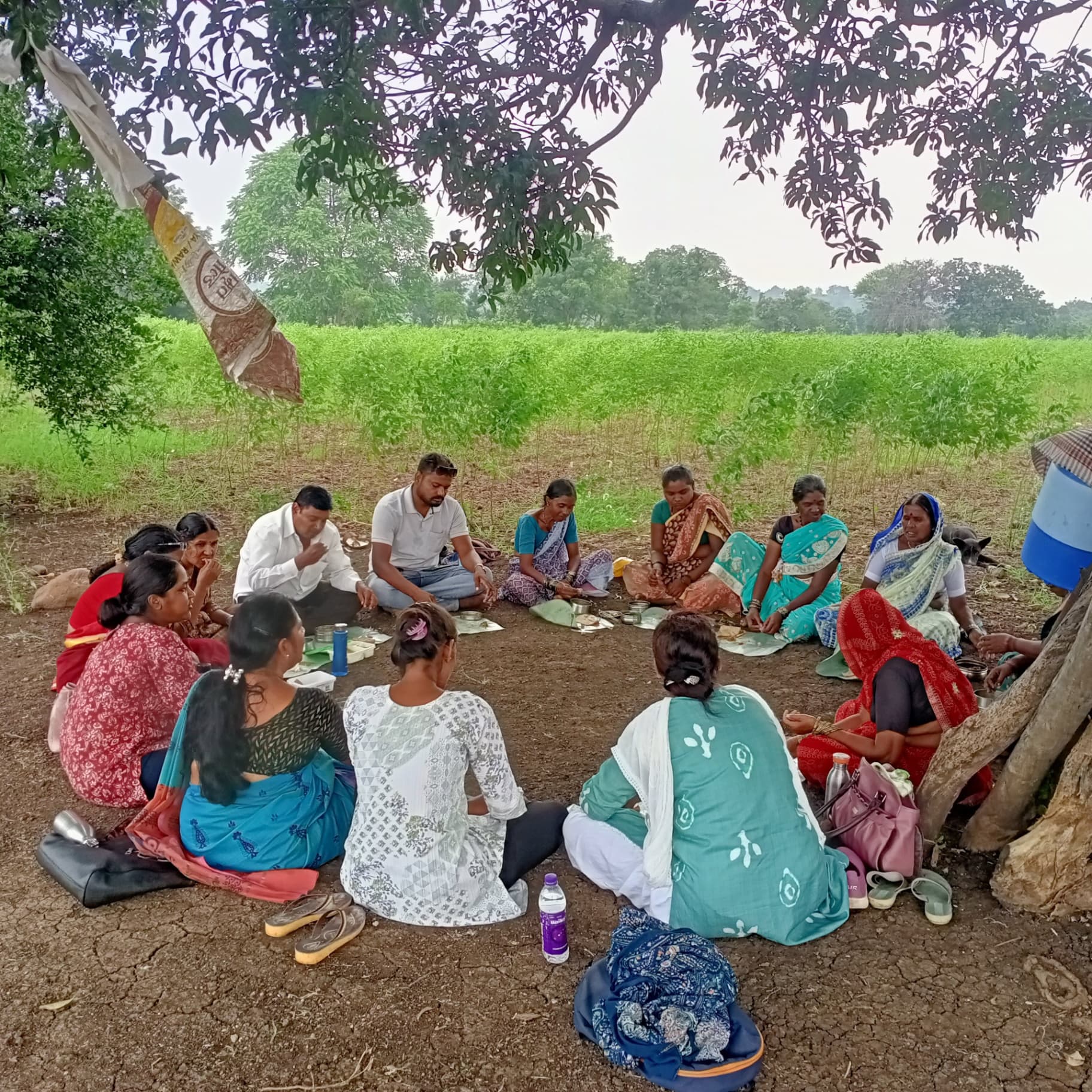 Women meeting under a tree with green fields behind them